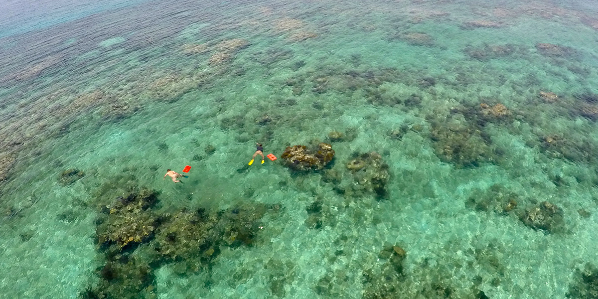  Cayos Cochinos de Honduras, la barrera de Coral en Centroamérica 
