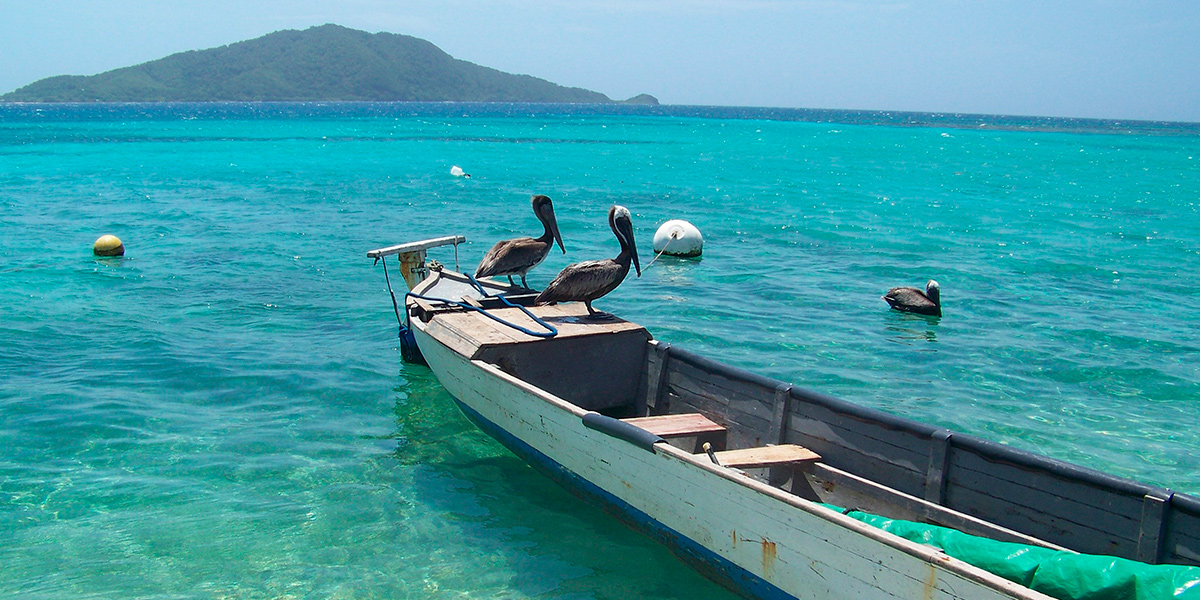  Cayos Cochinos de Honduras, la barrera de Coral en Centroamérica 