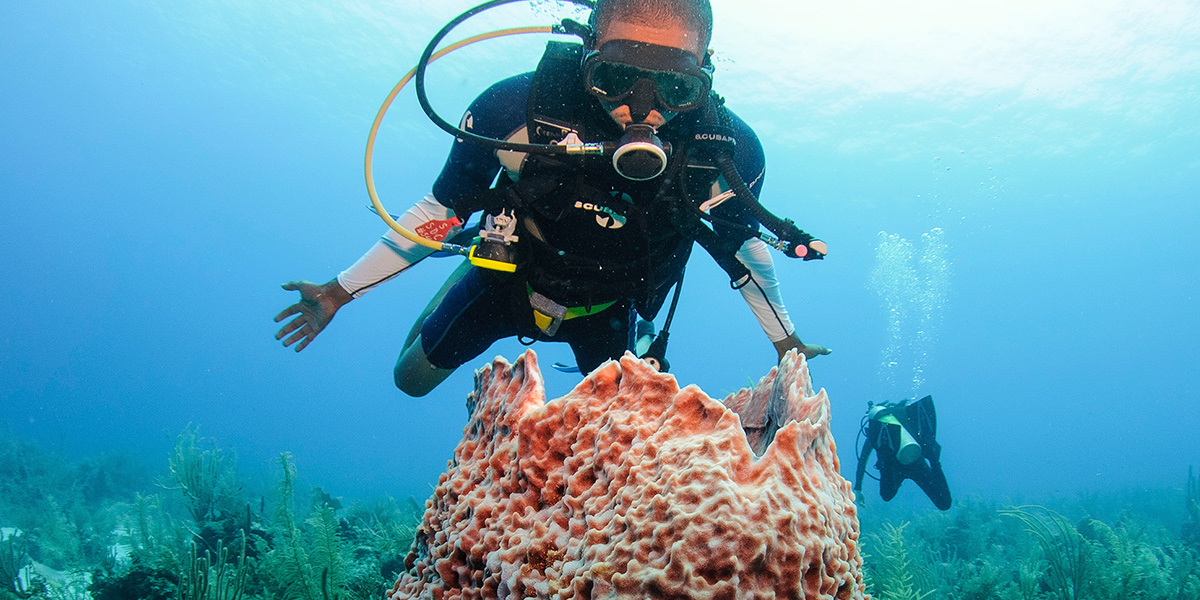  Gran Barrera de Coral de Belice, Patrimonio de la humanidad 