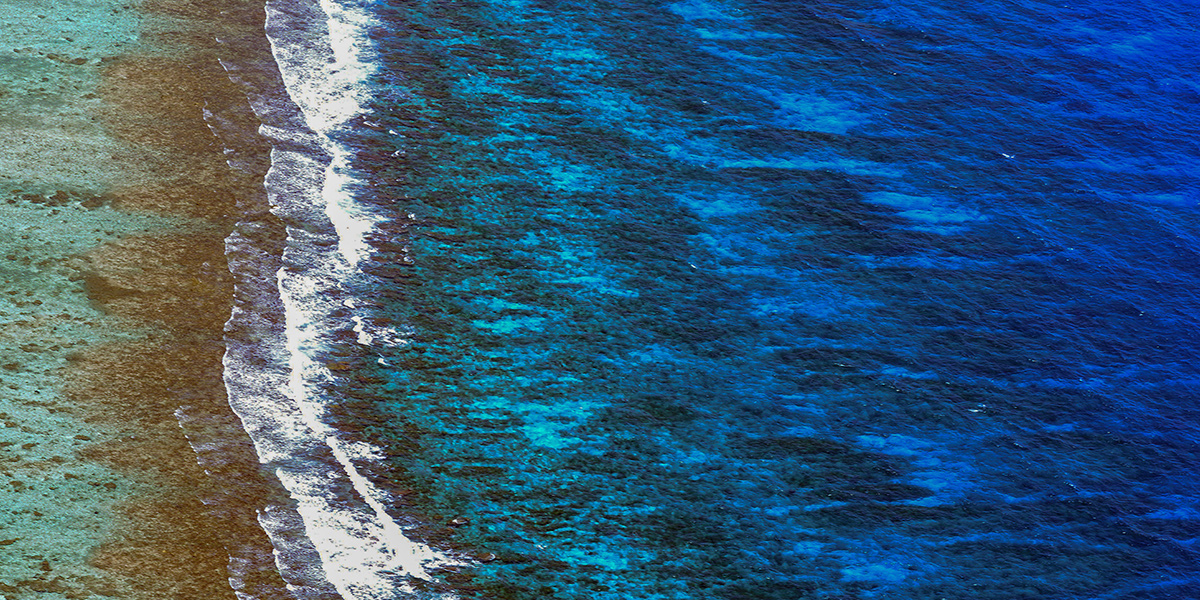  Gran Barrera de Coral de Belice, Patrimonio de la humanidad 