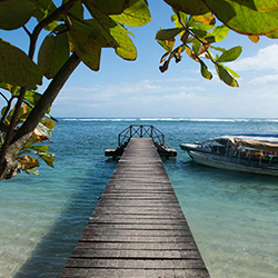 El Caribe verde azul