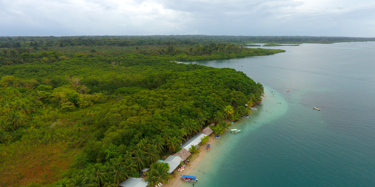  Playa de las Estrellas en Bocas de Toro, Panamá 