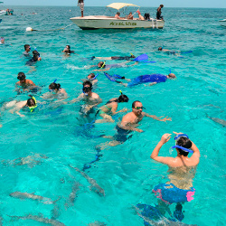 Central America. Hol Chan in belize