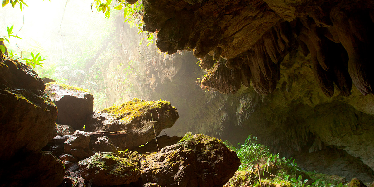  Central America. St Herman Cave in belize 