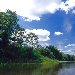 Central America. Dairen National Park in Panama