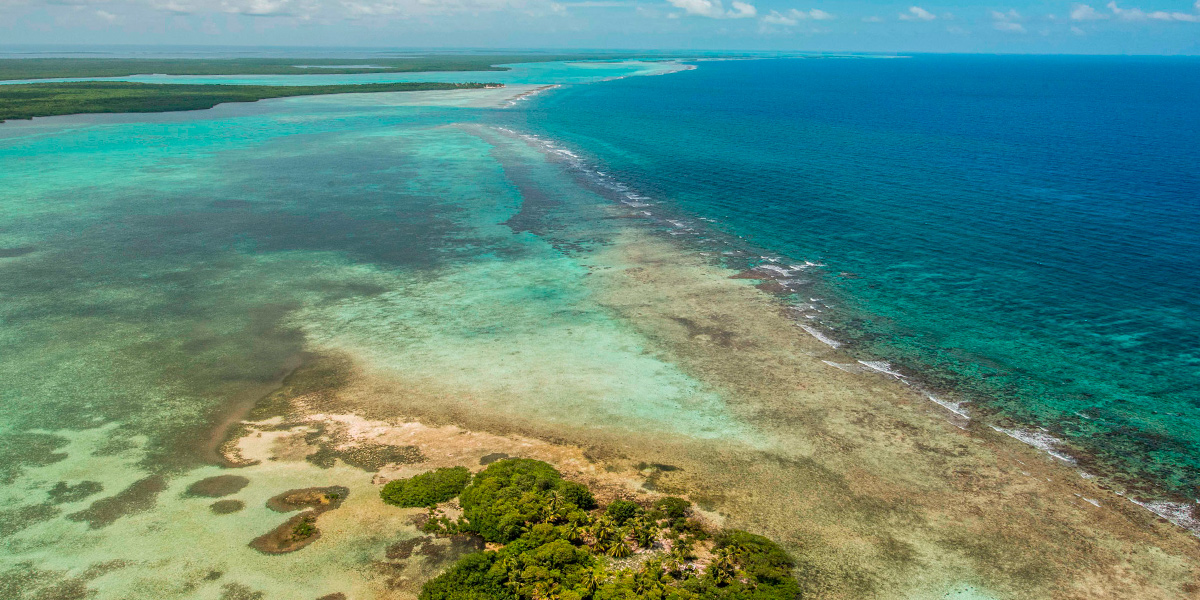  Blue Hole, buceo y tiburones en Belice 