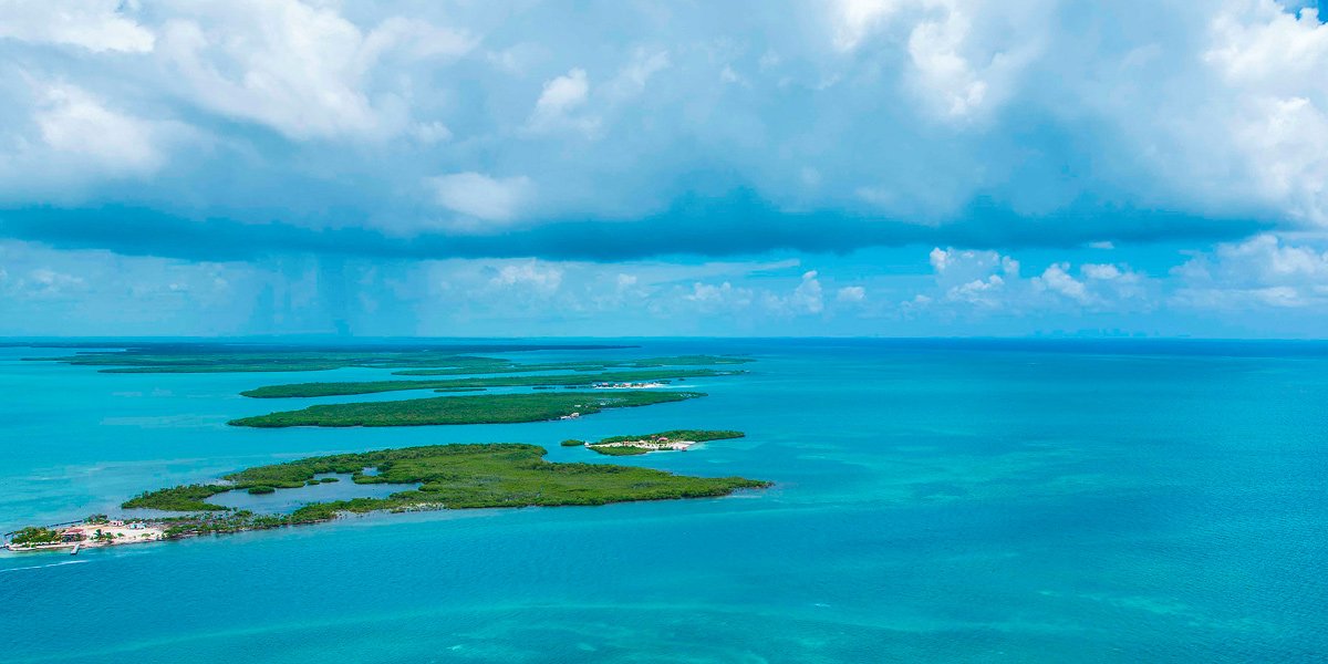  Blue Hole, buceo y tiburones en Belice 