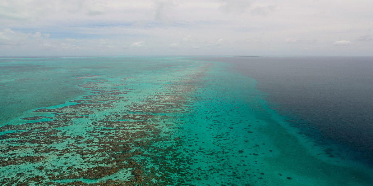  Blue Hole, buceo y tiburones en Belice 