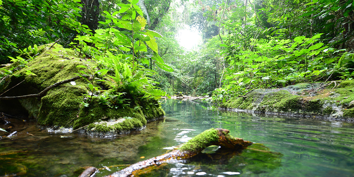  Cuevas ATM en Belice, entrada al Inframundo 