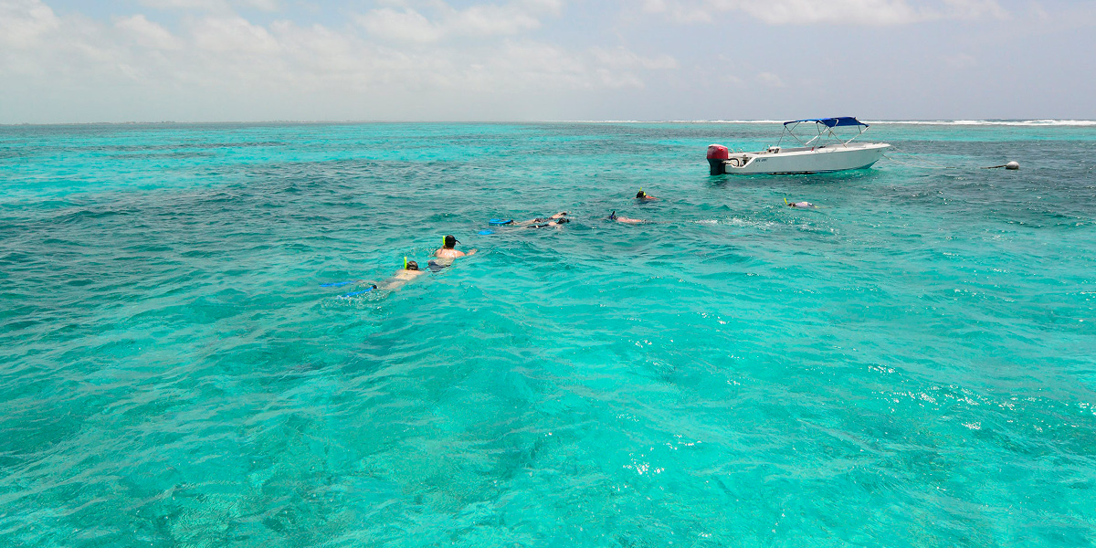  Reserva Marina de Hol Chan en Belice, naturaleza en Centroamérica 