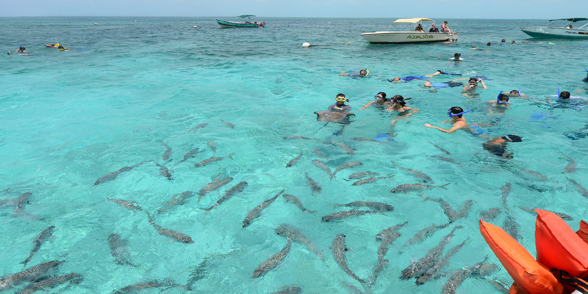  Reserva Marina de Hol Chan en Belice, naturaleza en Centroamérica 