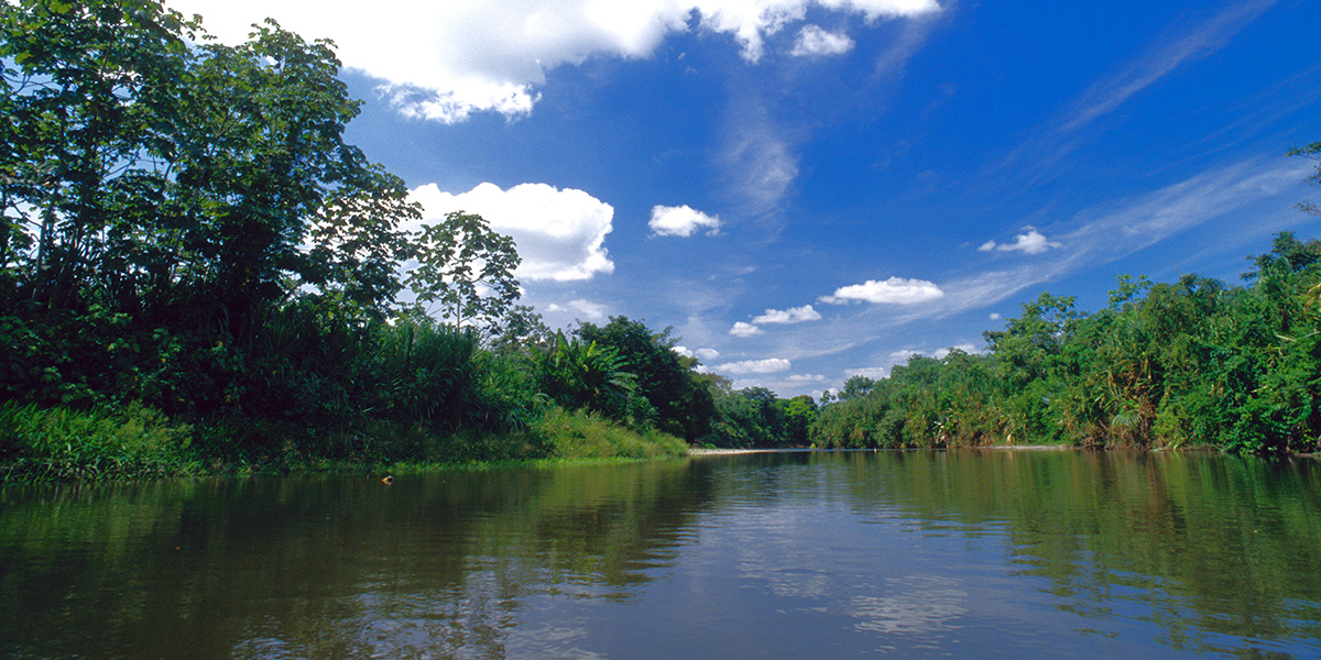  Parque Nacional de Darién en Panamá, Centroamérica Natural 