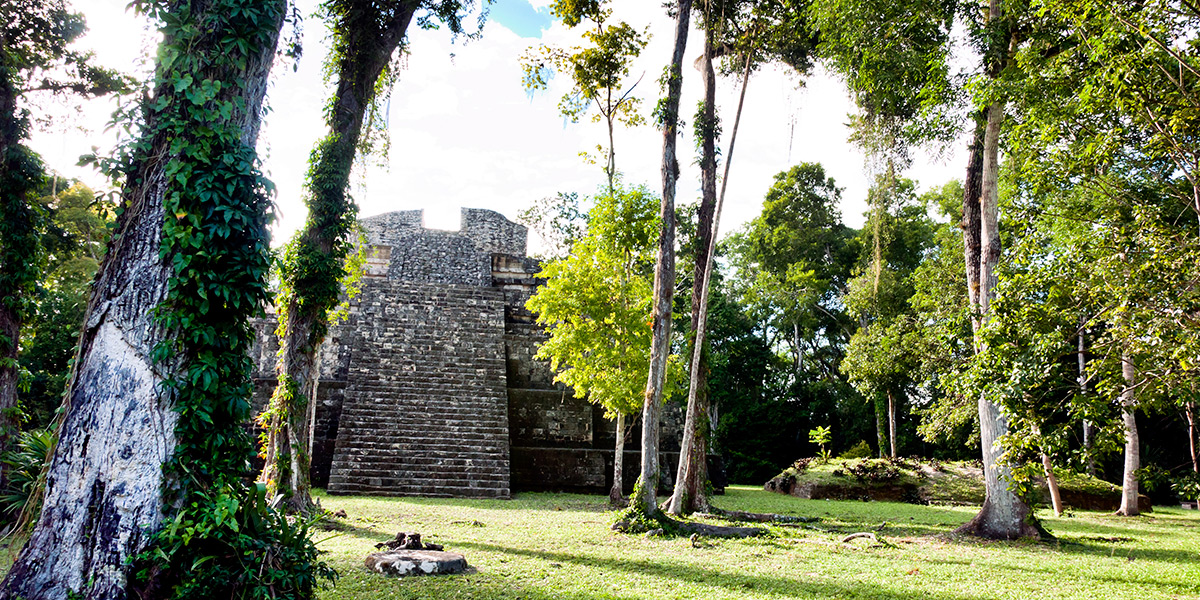  El Parque Nacional Yaxha está situado en la parte noreste del departamento de Petén, en los municipios de Flores y Melchor de Mencos. Fue la capital de un extenso territorio que dominó la parte noreste de Petén, aunque tuvo vínculos muy fuertes con la ciudad de Tikal, Caracol, en Belice, y Calakmul en México. Posee conjuntos monumentales con templos piramidales, Acrópolis, complejos de pirámides gemelas, complejos conmemorativos, Juegos de Pelota, palacios y conjuntos residenciales domésticos. El Parque tiene una extensión de 37,760 ha. En el parque existen numerosas ciudades, siendo las principales además de Yaxha, Topoxte, Nakum y Naranjo; las cuales jugaron un papel muy importante en la organización social y política de las tierras bajas centrales durante más de 1,500 años. Es posible visitar las tres primeras ciudades, siendo Yaxhá la más accesible y desde donde puede iniciar la visita al parque. El parque es un refugio que permite apreciar una combinación equilibrada de biodiversidad y patrimonio cultural prehispánico. Debido a la presencia de impresionantes lagunas y humedales que forman parte de las principales rutas de aves migratorias, el parque ha sido reconocido como humedal de importancia mundial (RAMSAR). Las lagunas de Yaxhá y Sacnab pueden observarse desde la cima de varios monumentos arqueológicos, dándole al área una singular belleza paisajística. 