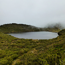 Central America. Chirripo National Park in Costa Rica