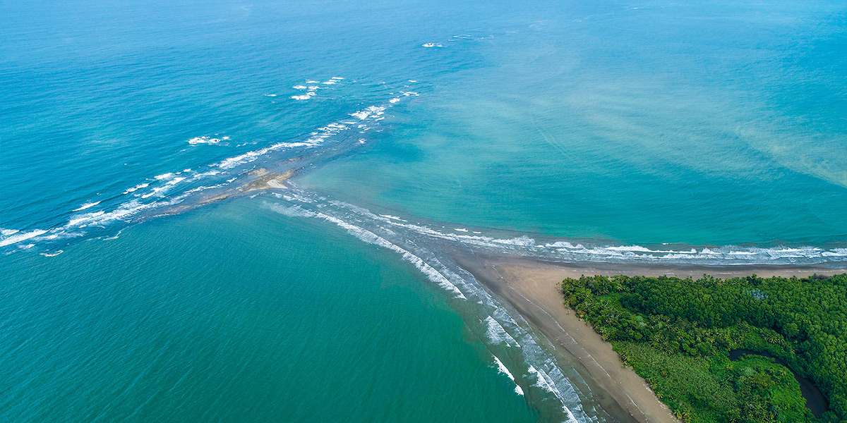 Image result for parque nacional marino ballena costa rica