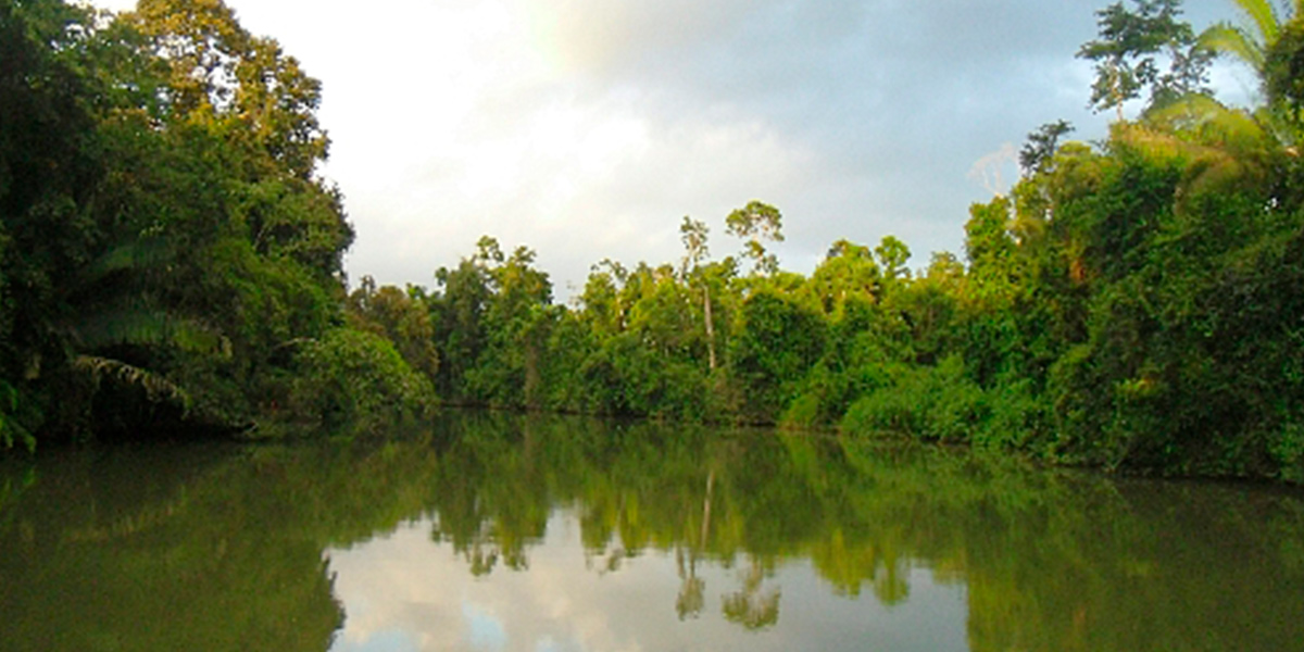  Selva a todo lujo, experiencia en Centroamérica 