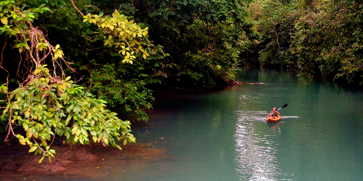  ver centroamerica costa rica bahia drake parque corcovado 