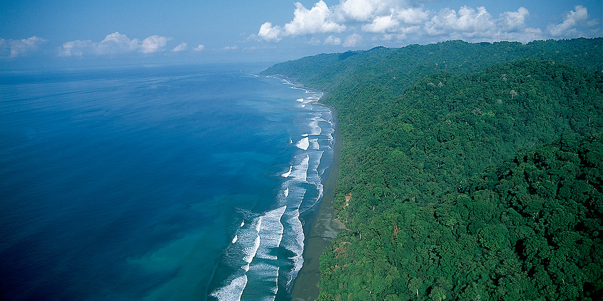  ver centroamerica costa rica bahia drake parque corcovado 