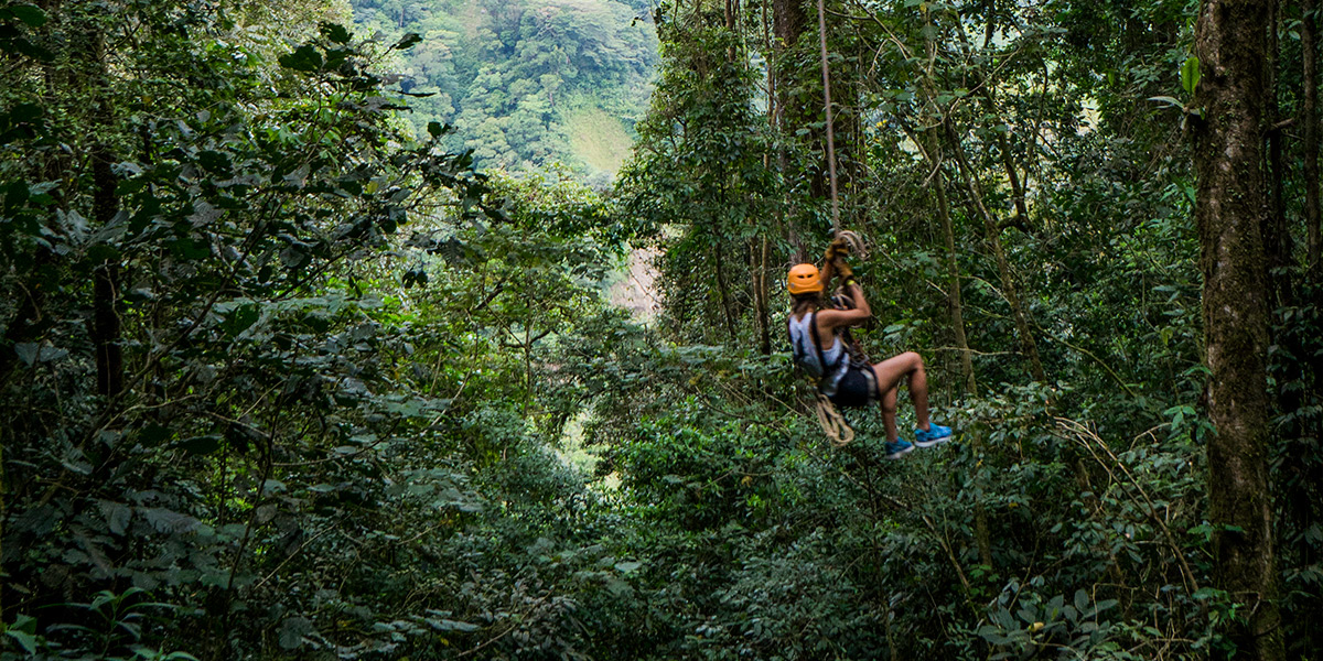  ver centroamerica costa rica bosque nuboso monteverde 