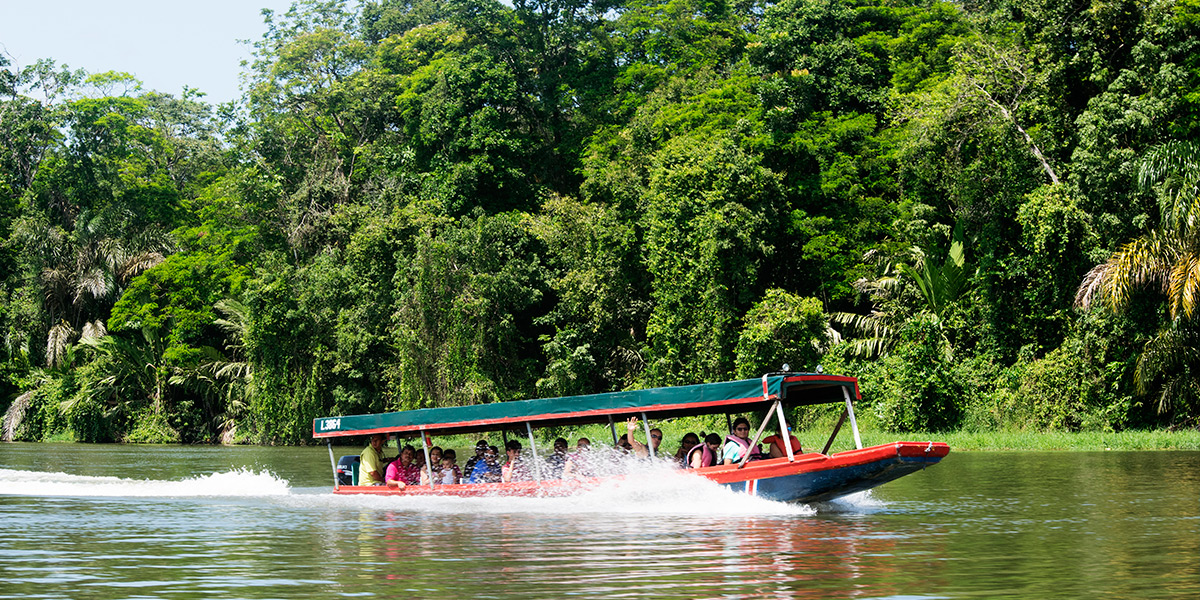  ver centroamerica costa rica canales tortuguero 