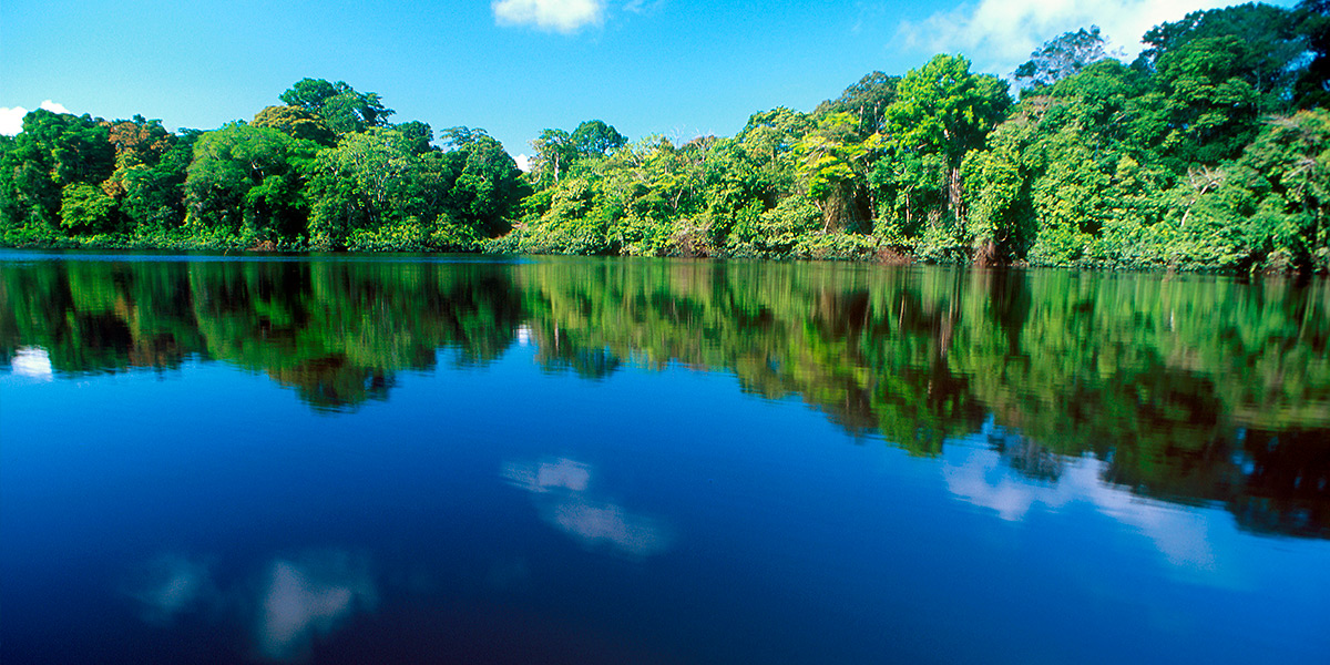  ver centroamerica costa rica canales tortuguero 