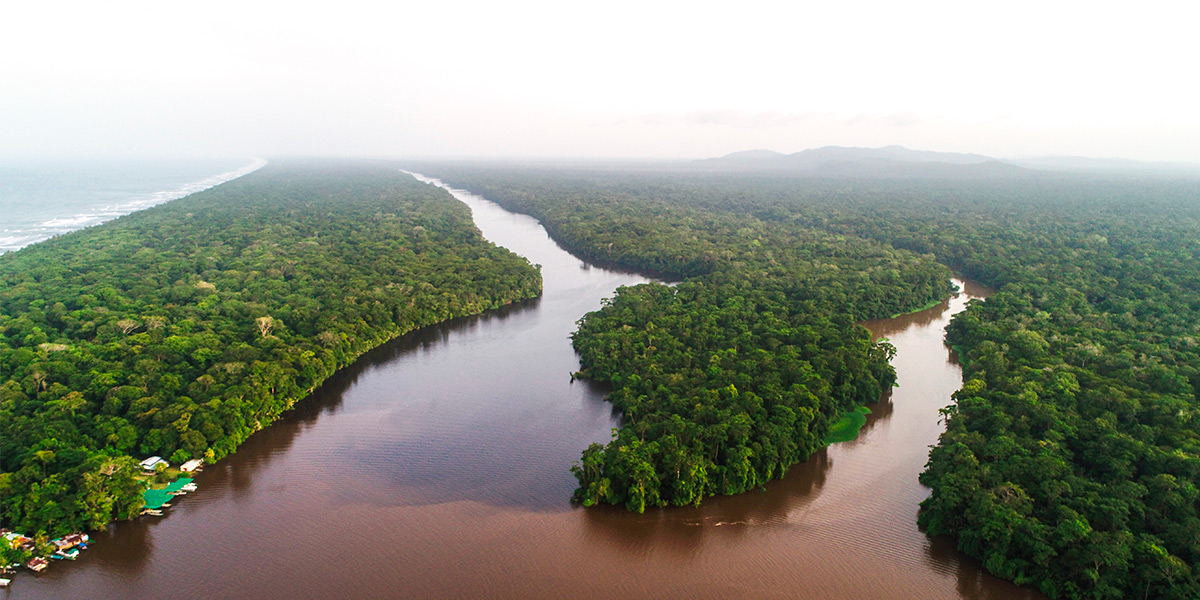  ver centroamerica costa rica canales tortuguero 