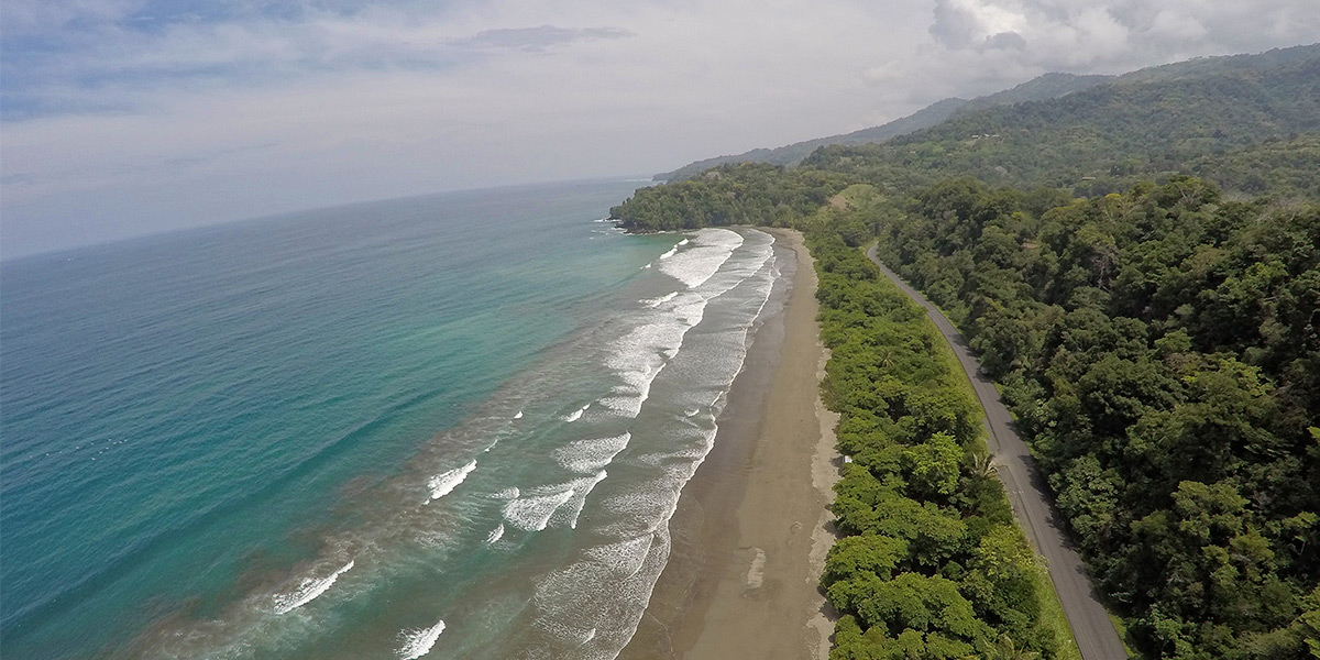  ver centroamerica costa rica parque nacional marino ballena 