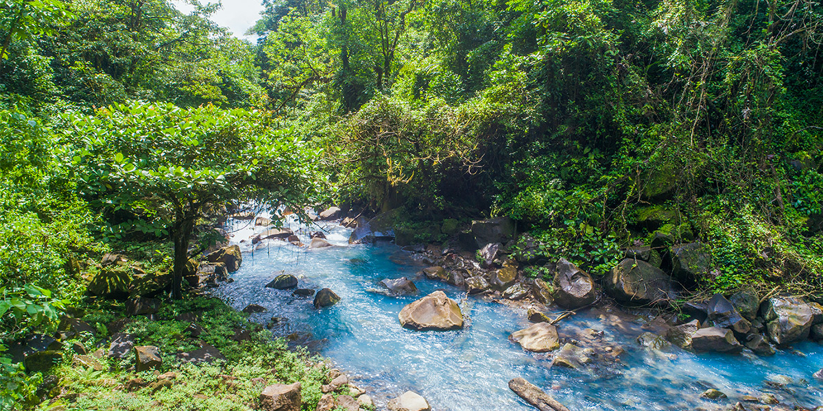  ver centroamerica costa rica parque nacional volcan tenorio 