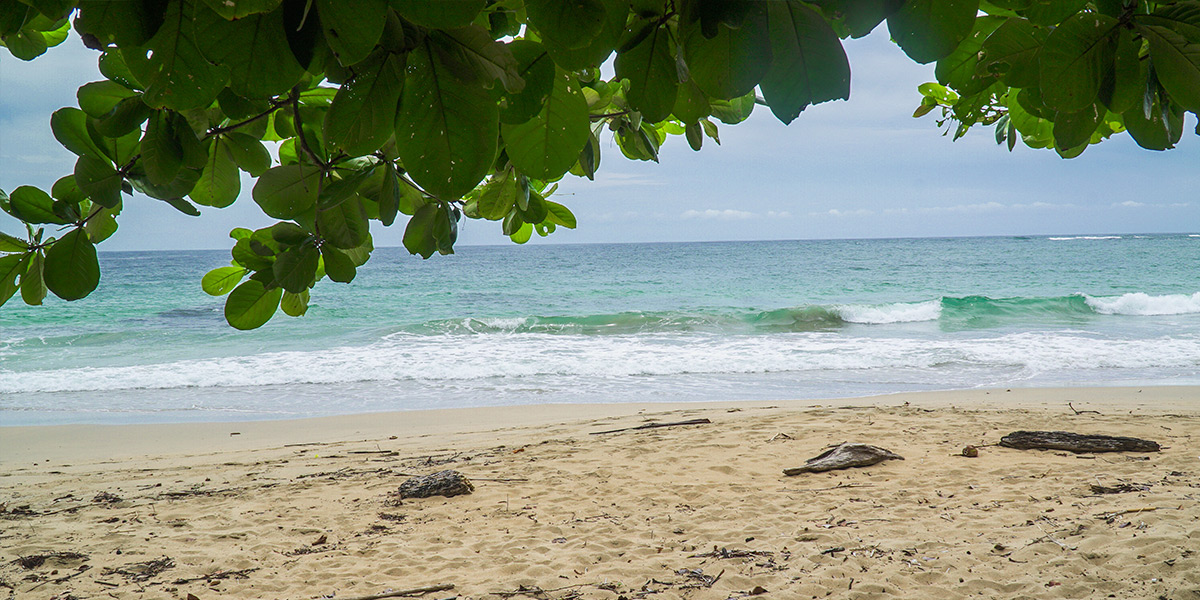  ver centroamerica costa rica puerto viejo talamanca cahuita 