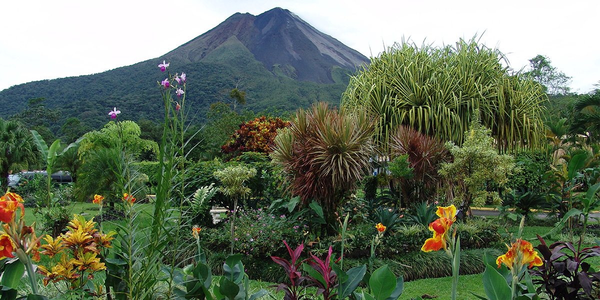  ver centroamerica costa rica volcan arenal fortuna 