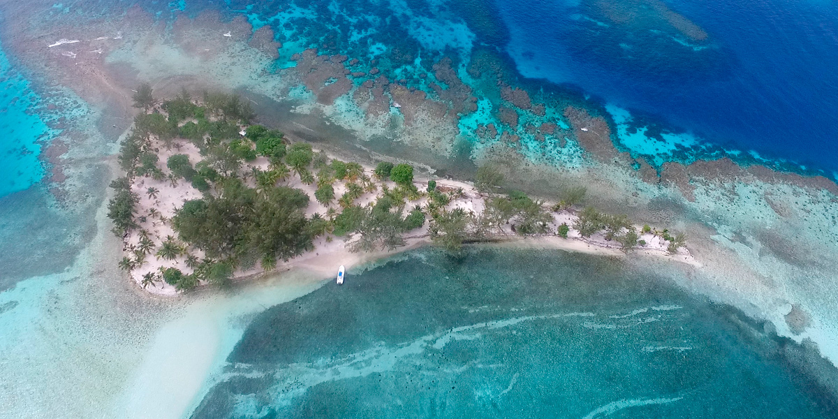  Utila, el mejor lugar del mundo para bucear está en Honduras 