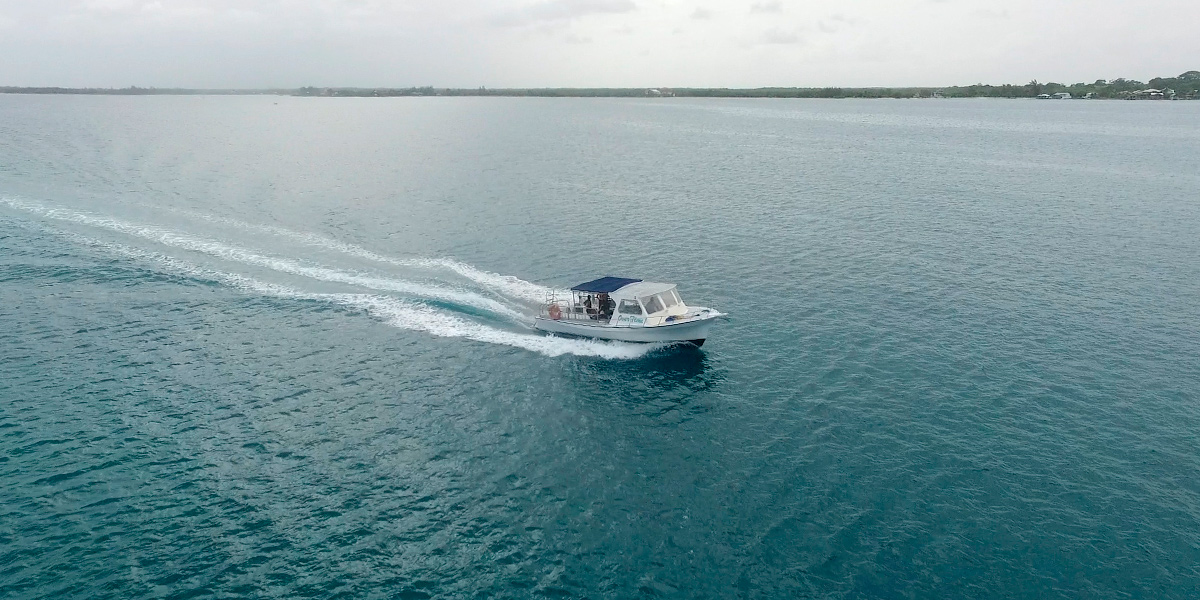  Utila, el mejor lugar del mundo para bucear está en Honduras 