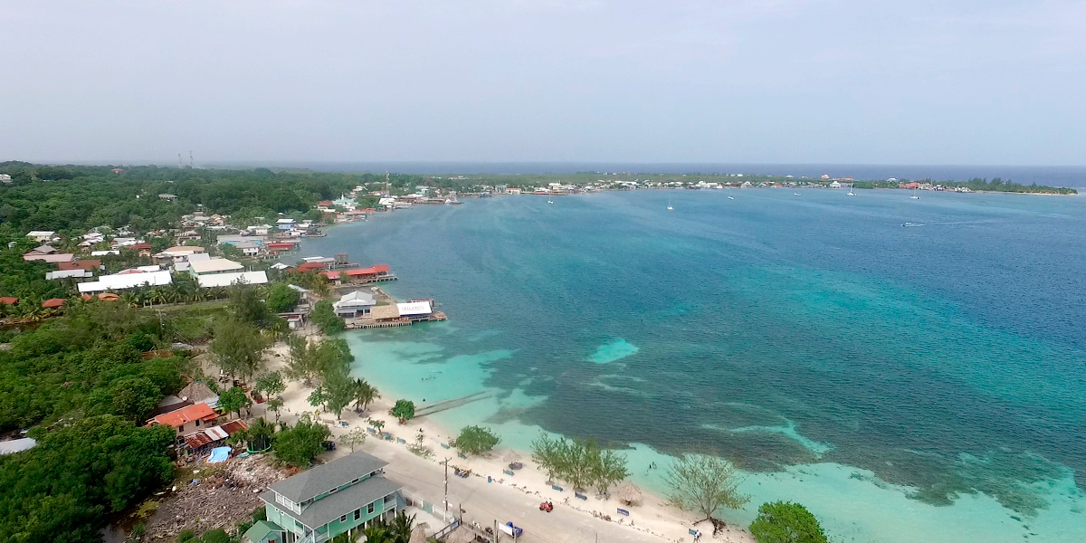  Utila, el mejor lugar del mundo para bucear está en Honduras 