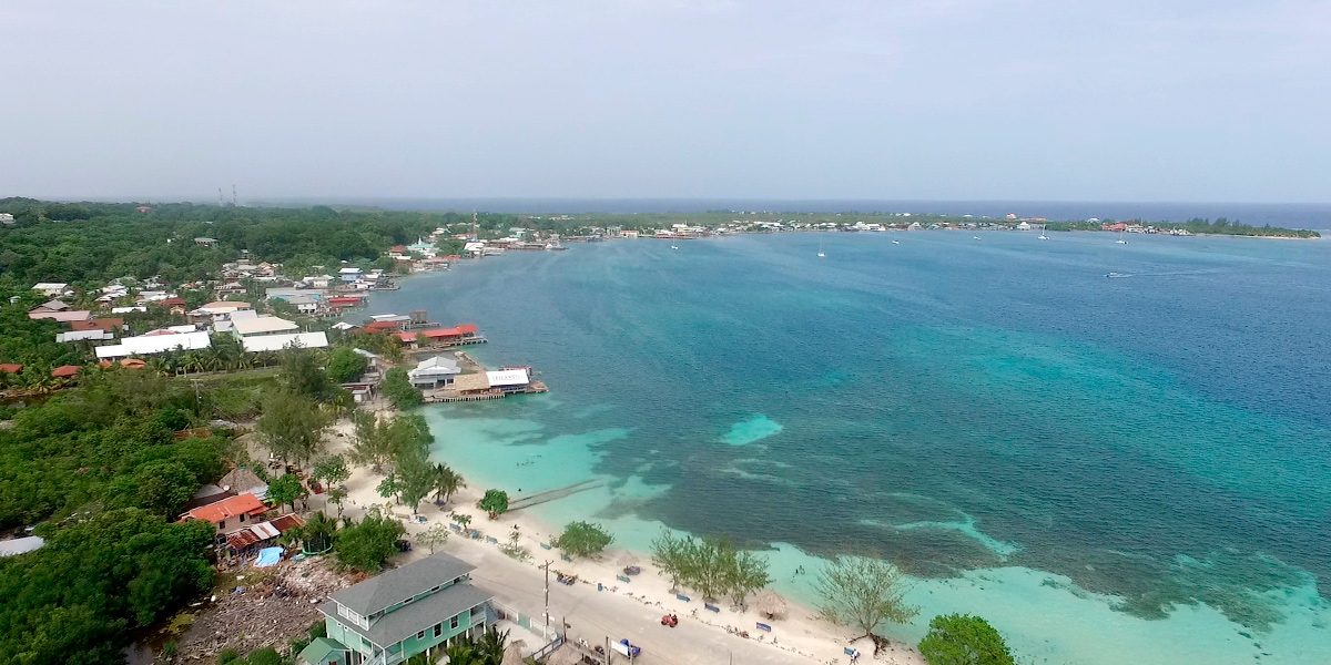  Utila, el mejor lugar del mundo para bucear está en Honduras 