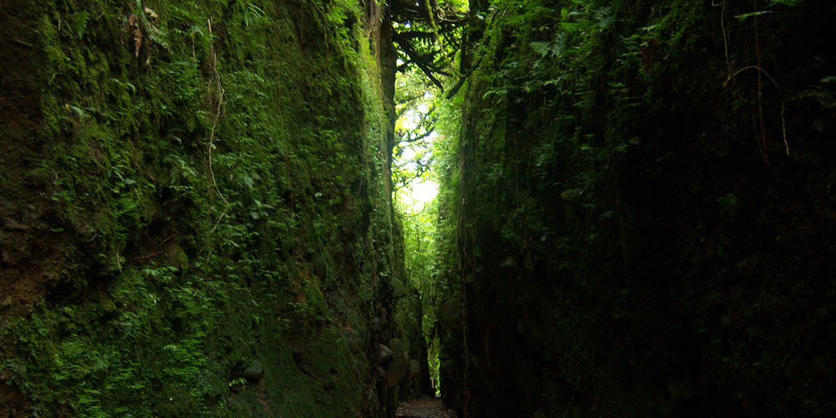  Centroamérica Veloz, tour multidestino 