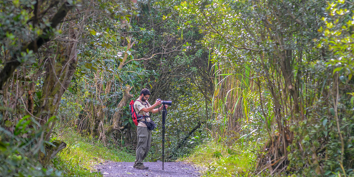  Herencia maya y naturaleza en Centroamérica 