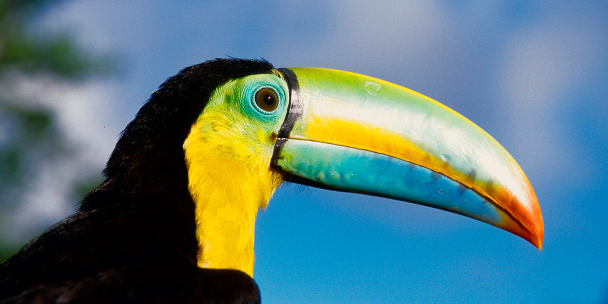  Lo mejor de Costa Rica, Panamá y Nicaragua. 