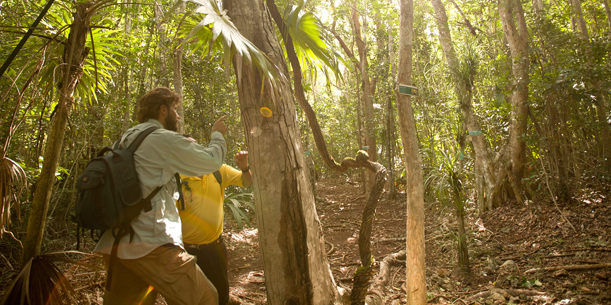  Parque Natural Elijio Panti en Belize 