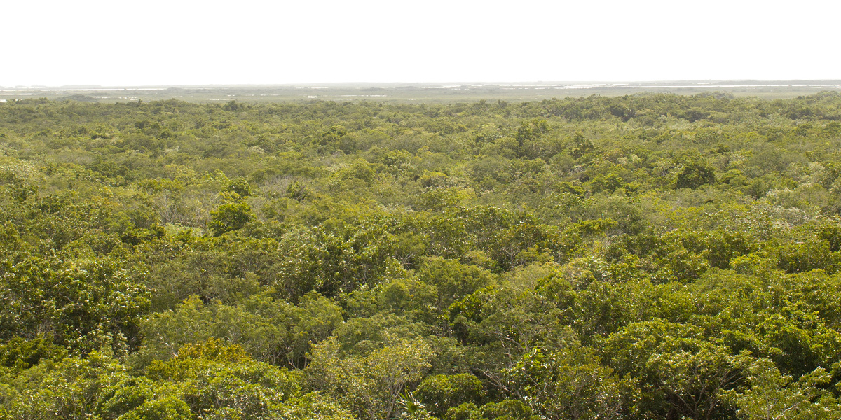  Parque Natural Elijio Panti en Belize 