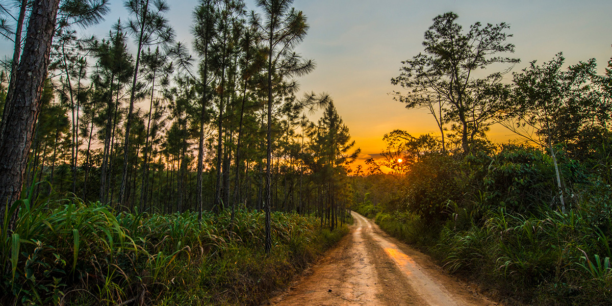  Mountain Pine Ridge, naturaleza en Belice 