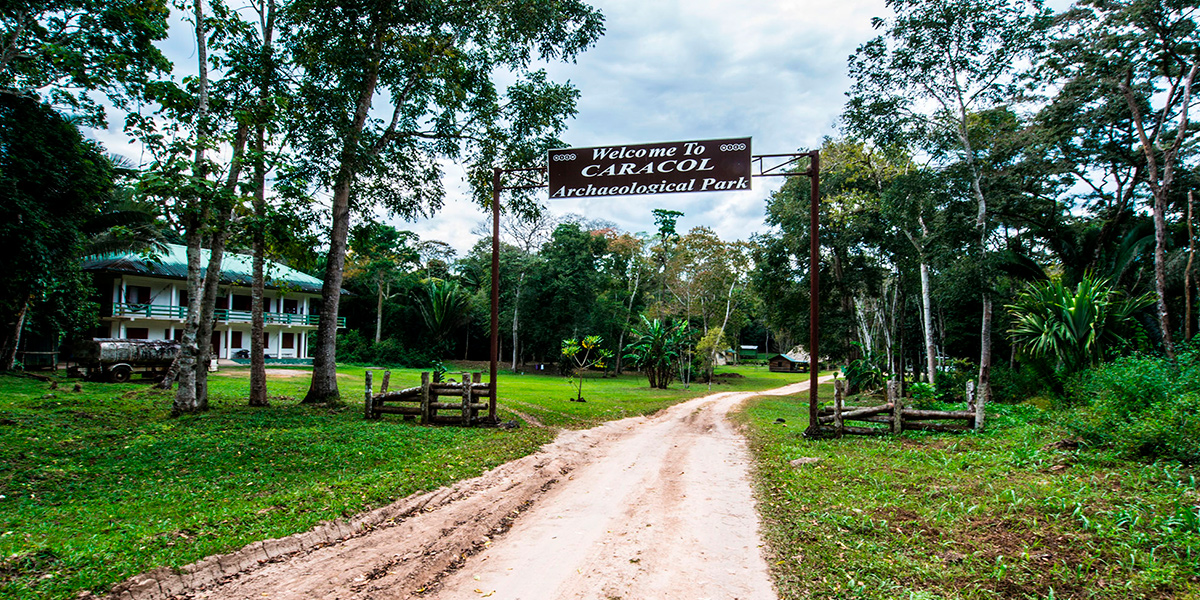  Mountain Pine Ridge, naturaleza en Belice 