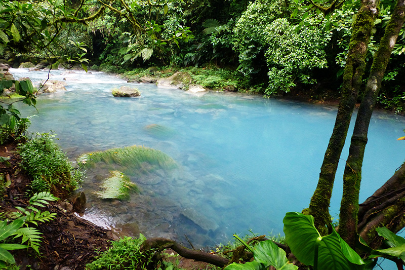 Costa Rica - Bosque Nuboso Monteverde