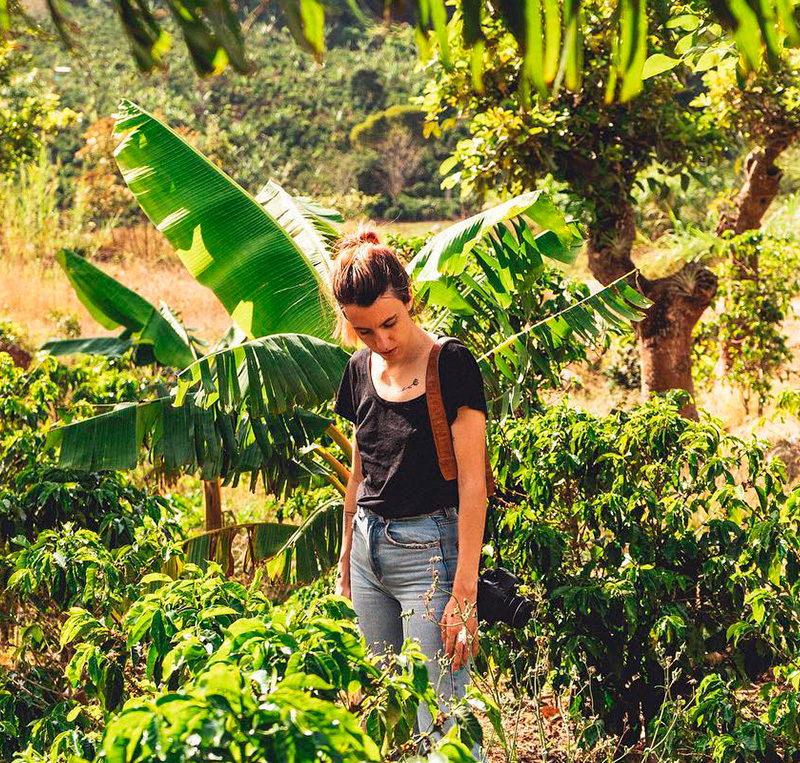 Costa Rica - Café