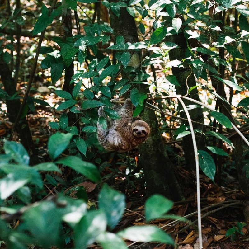 Lost Found Keep - Costa Rica