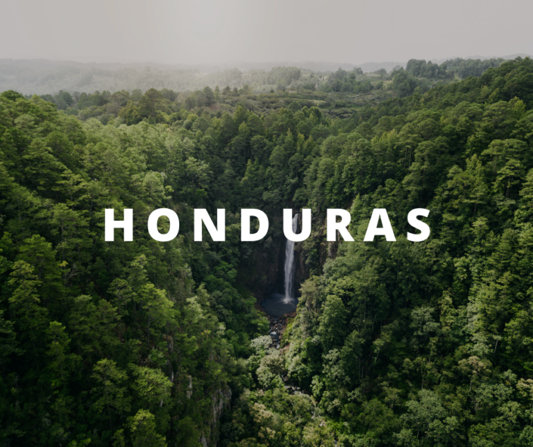 Honduras 768x644 