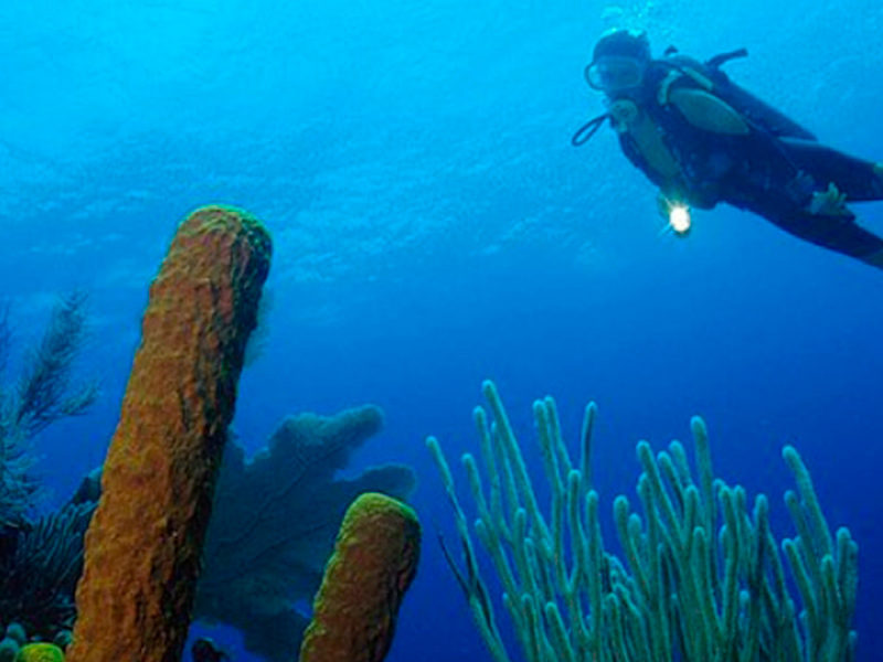 Belice - Submarinismo - Centroamérica