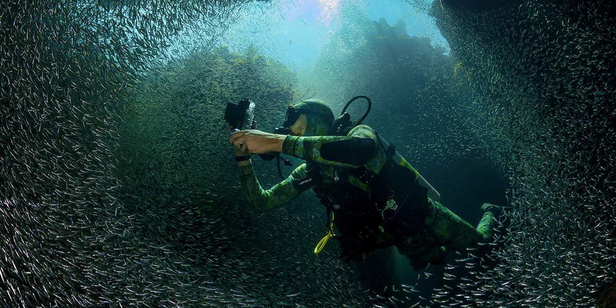  Buceo - Honduras - Centroamérica 