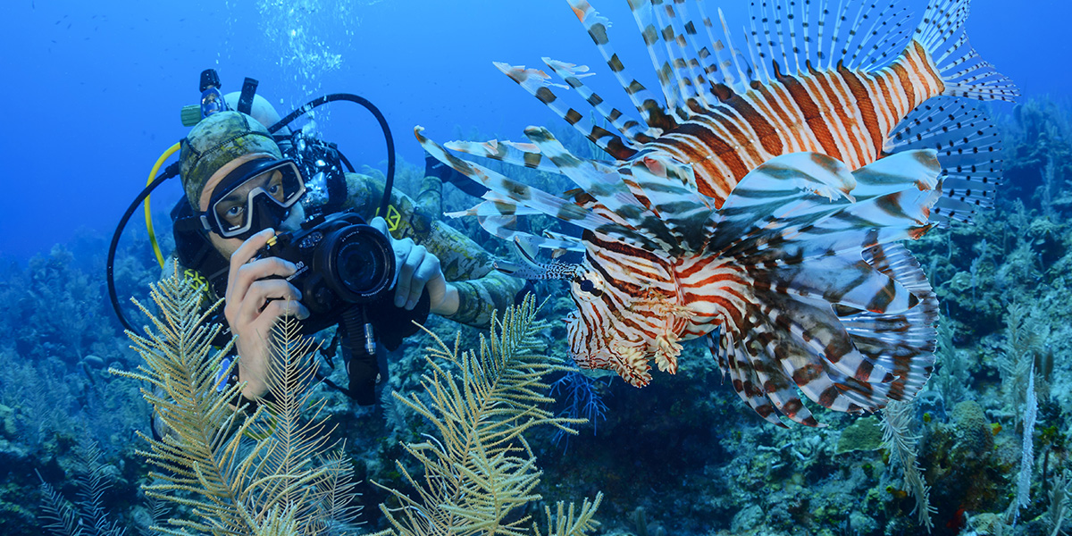  Buceo - Honduras - Centroamérica 