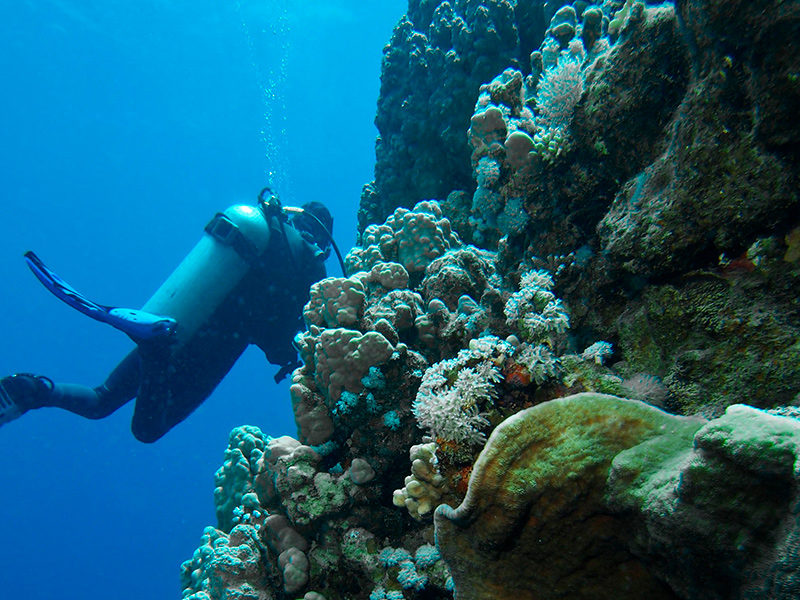 El Salvador - Submarinismo - Centroamérica