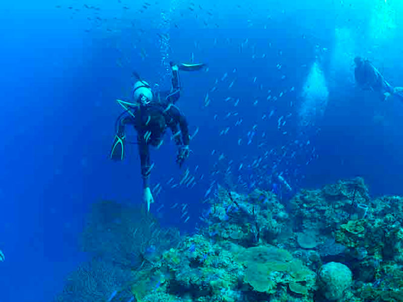 Honduras - Submarinismo - Centroamérica